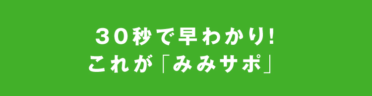 30秒で早わかり！これがみみサポ！